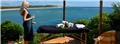 Photo of Mozambique Specials