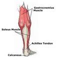 Photo of The Running DoctorSM