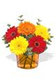 Photo of Readyflowers New Zealand