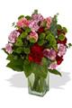 Photo of Readyflowers New Zealand