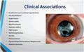 Photo of International Ophthalmology Portal